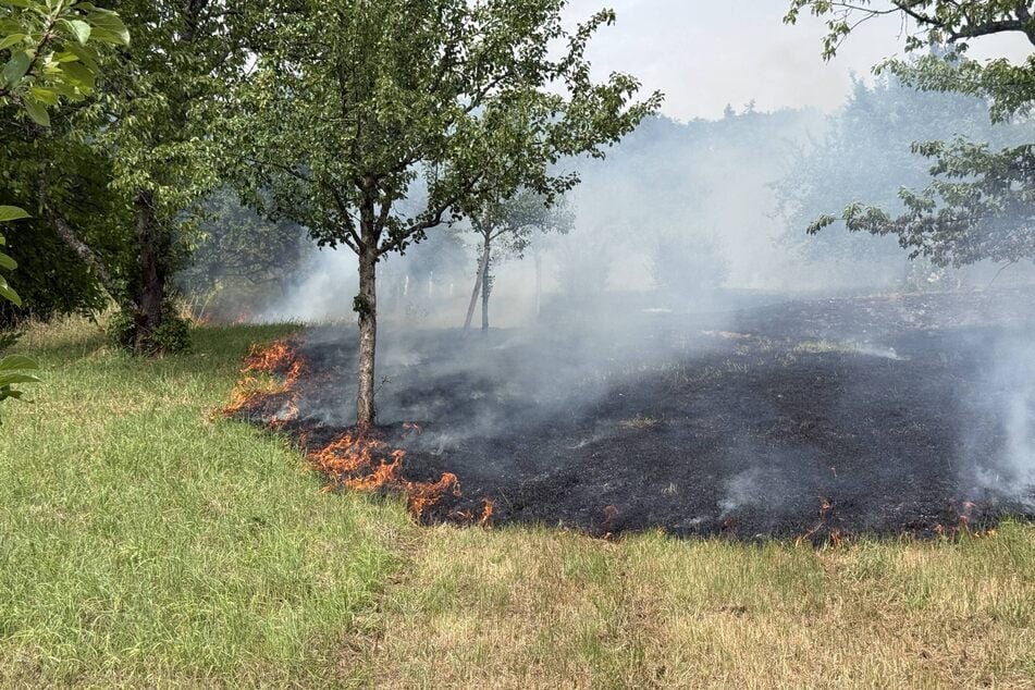 Das Feuer breitete sich auf einem Gartengrundstück im Stadtteil Schornbach aus.