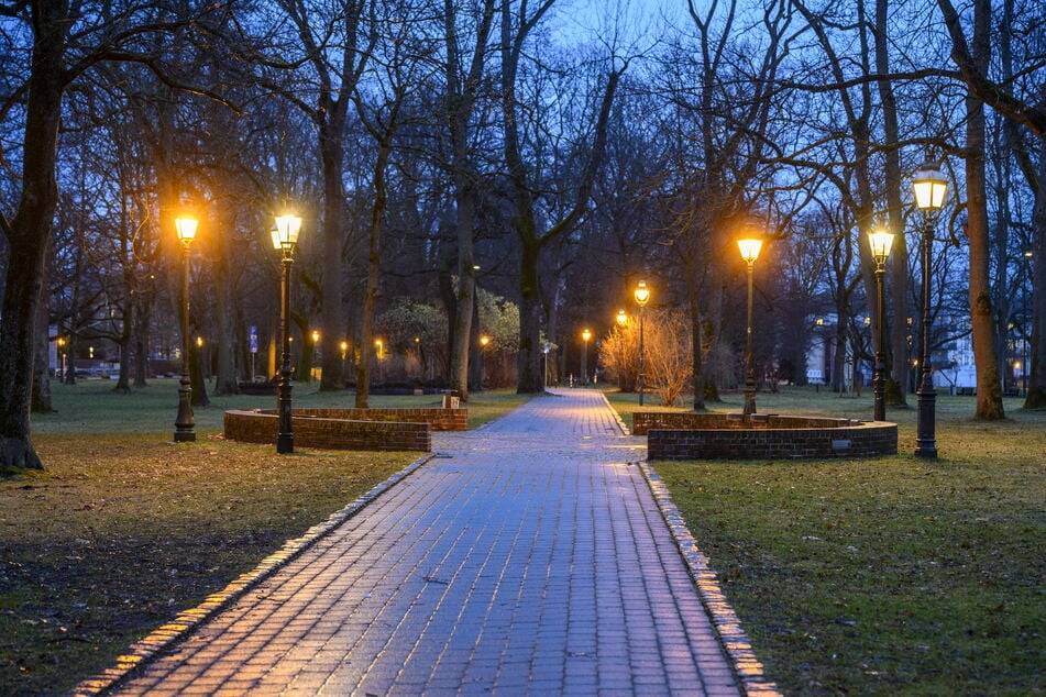 Die romanische "Allee des Lichts" im Park der OdF braucht eine neue Beschilderung und Pflege.