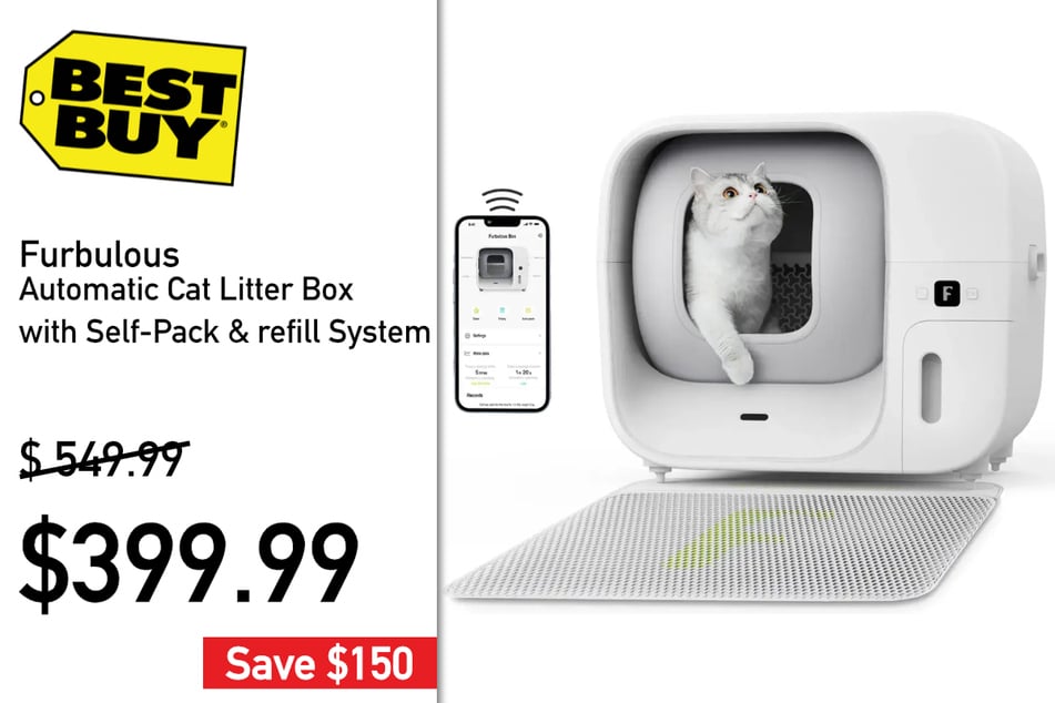 Cats love the Furbulous Automatic Cat Litter Box.