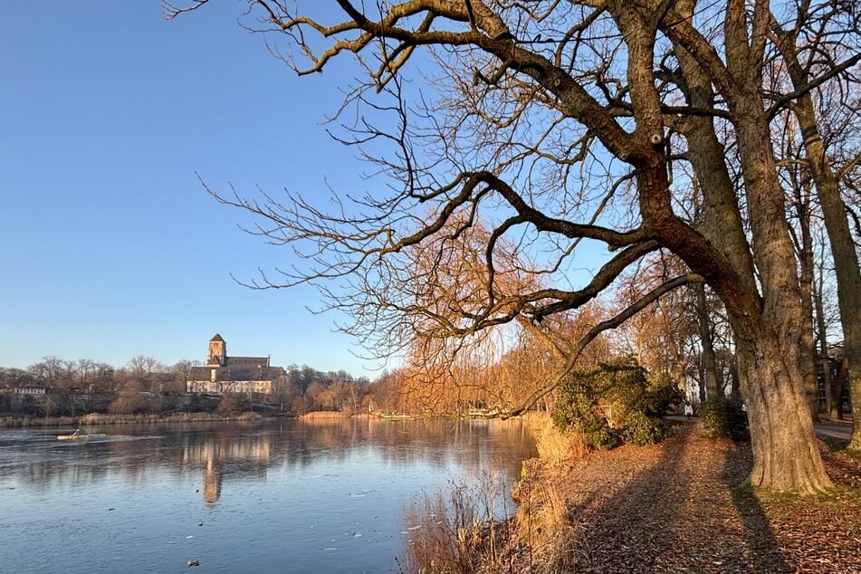 Bei den Temperaturen in dieser Woche bildet sich wieder eine dünne Eisdecke auf den Gewässern im Land, wie hier auf dem Schlossteich in Chemnitz. (Archivbild)
