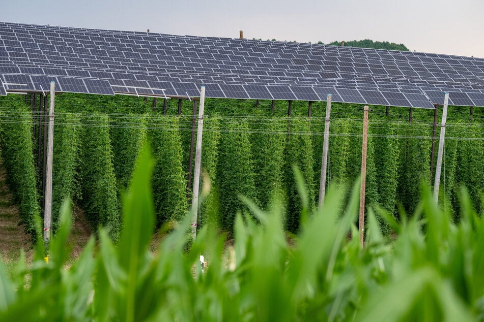 In Thüringen wird immer mehr Energie aus Photovoltaikanlagen gewonnen. (Symbolfoto)