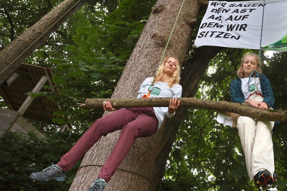 Aus Protest: Klimaaktivistinnen sägen Ast ab, auf dem sie sitzen!