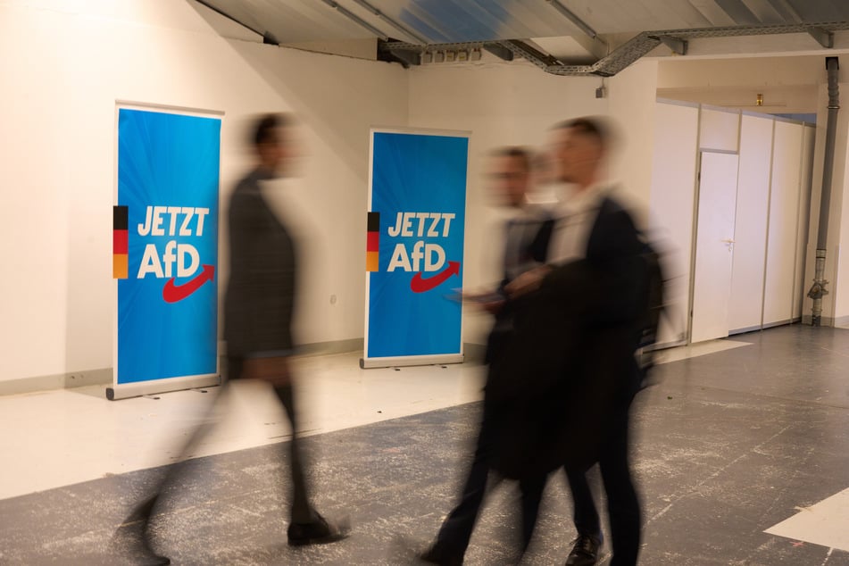 Zwei Werbeplakate für die AfD.