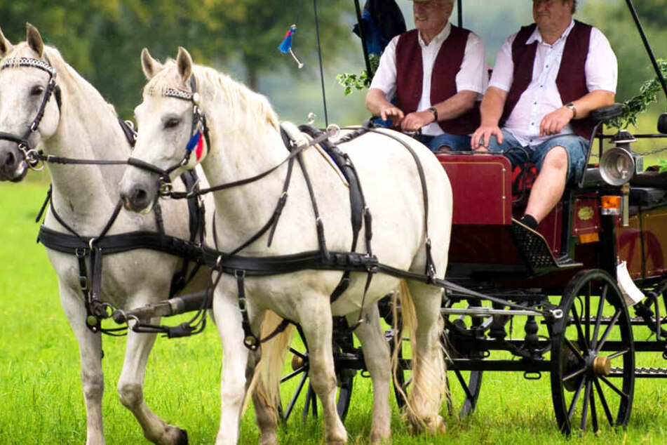 Die Polizei stellte bei der Kutsche Mängel an der Bremse fest. (Symbolbild.)