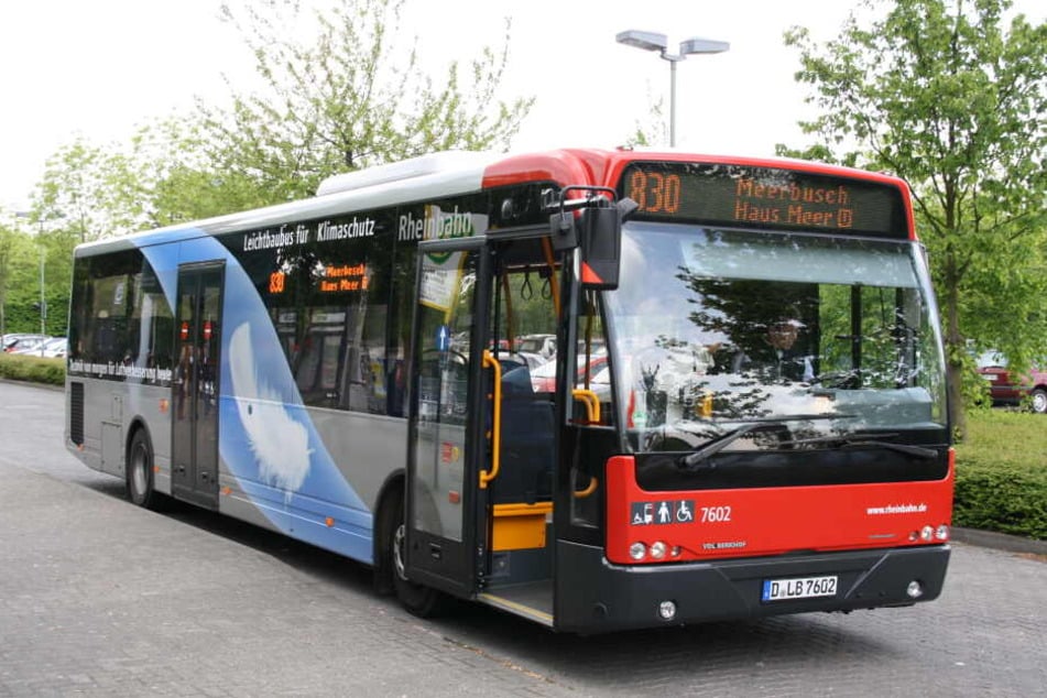 Ein Bus der Düsseldorfer Rheinbahn-Verkehrsbetriebe. (Symbolbild)