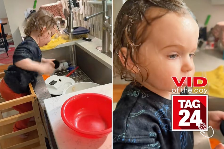 viral videos: Viral Video of the Day for January 13, 2026: Toddler "helps" with dishes – then accidentally soaks himself