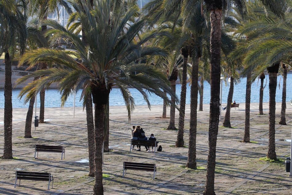 Menschen sitzen im Park 'Parc de la mar' in Palma, Spanien. Die Zahl der Neuinfizierten je 100.000 Einwohner binnen sieben Tagen stieg zuletzt nach Berechnungen des privaten Instituts Cercle d'Economía auf 310.
