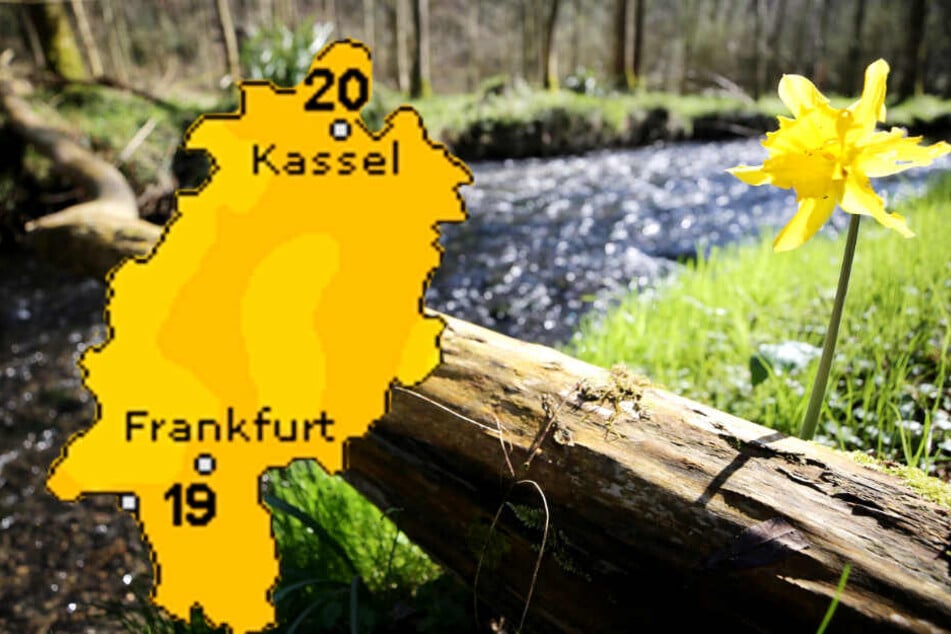 Insbesondere der Freitag in Hessen wird ein echter Frühlingstraum.