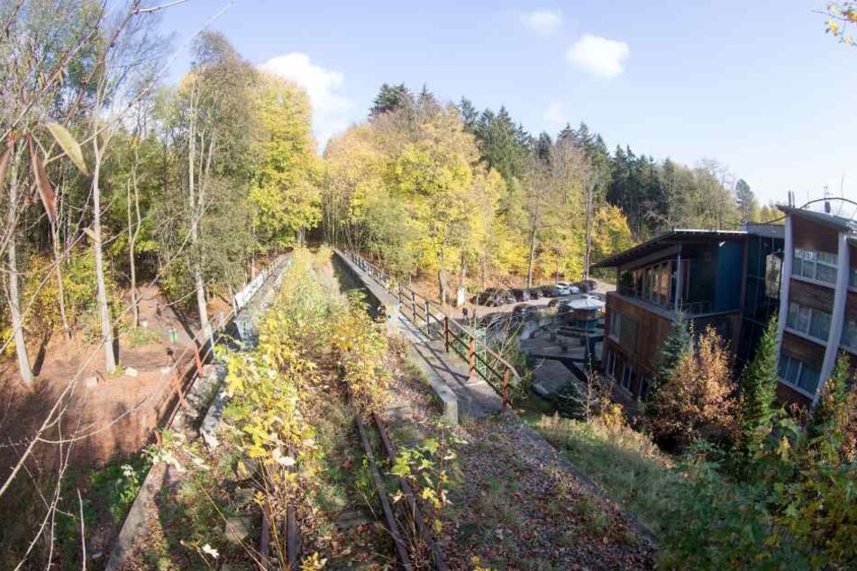Bahn-Brücke ohne Verkehr am Forsthaus Grüna: Chemnitz will auf der ehemaligen Bahnstrecke vom Küchwald nach Wüstenbrand einen Radweg bauen.