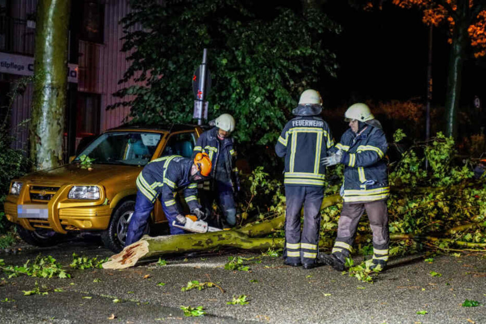 Einsatzkräfte in Waiblingen kümmern sich um einen herabgestürzten Ast.