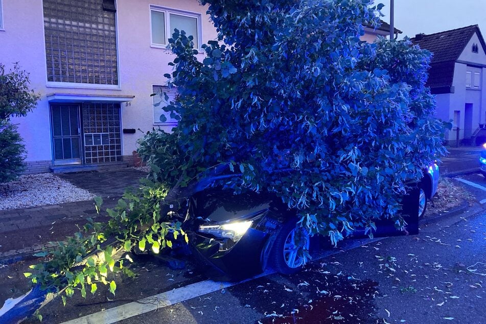 Glück im Unglück: Obwohl der umgerammte Baum auf sein Auto stürzte, wurde der 26-jährige Fahrer nur leicht verletzt.