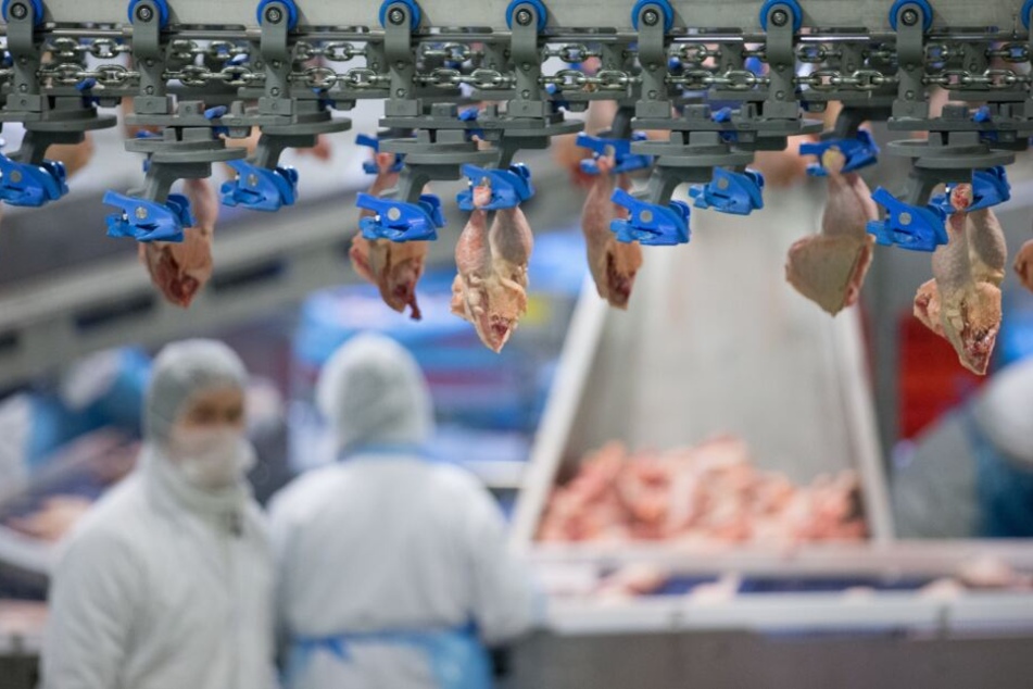 Wiesenhof stellt die Geflügelproduktion in Wietzen-Holte ein.