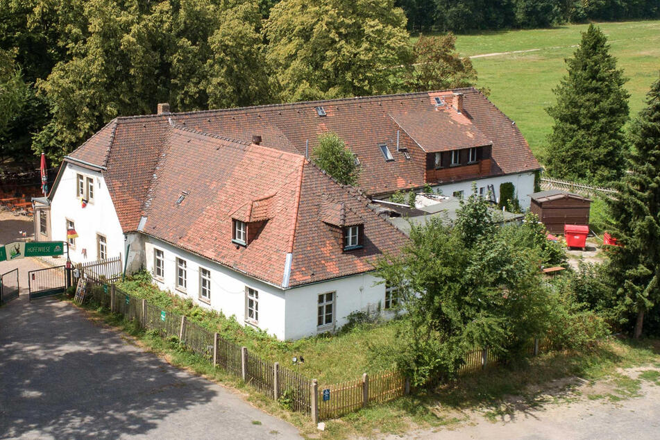 In der Hofewiese könnt Ihr am Sonntag leckeren Wein trinken.