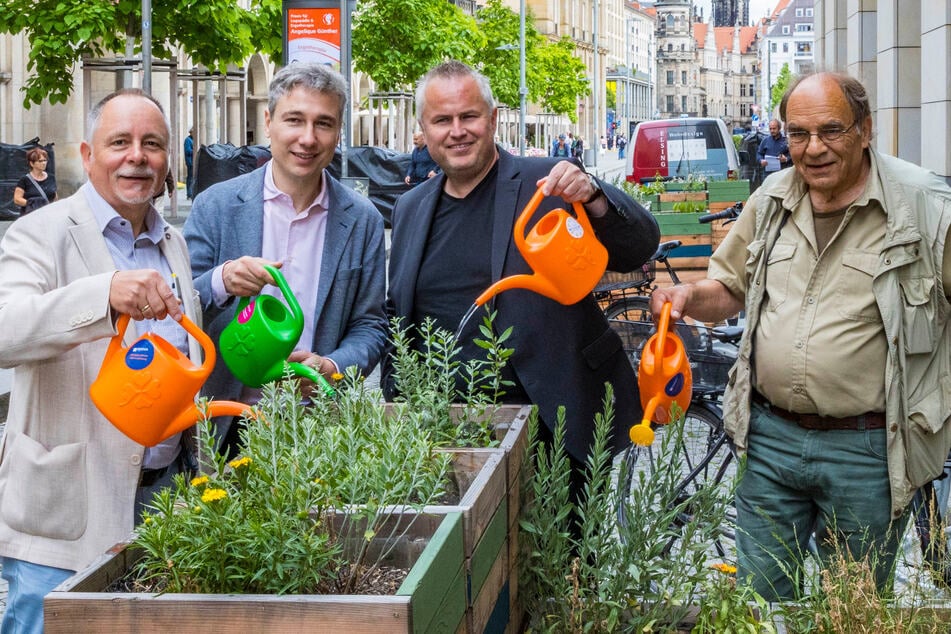 Dresden: Dresdner Seestraße schaltet auf Wintermodus