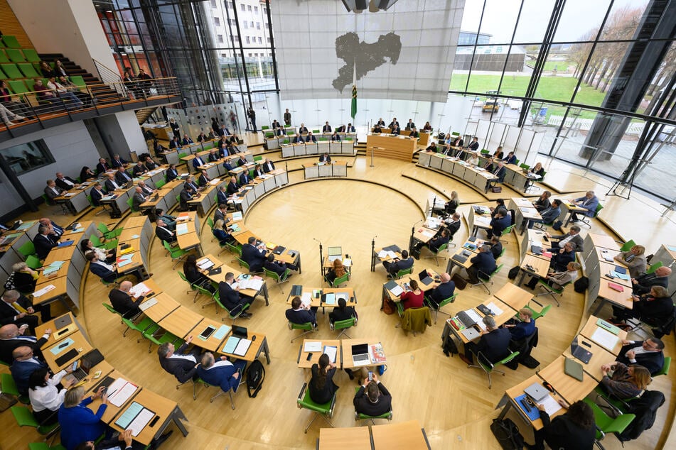 Der sächsische Landtag hatte Dornau die Zahlung eines Ordnungsgeldes auferlegt.