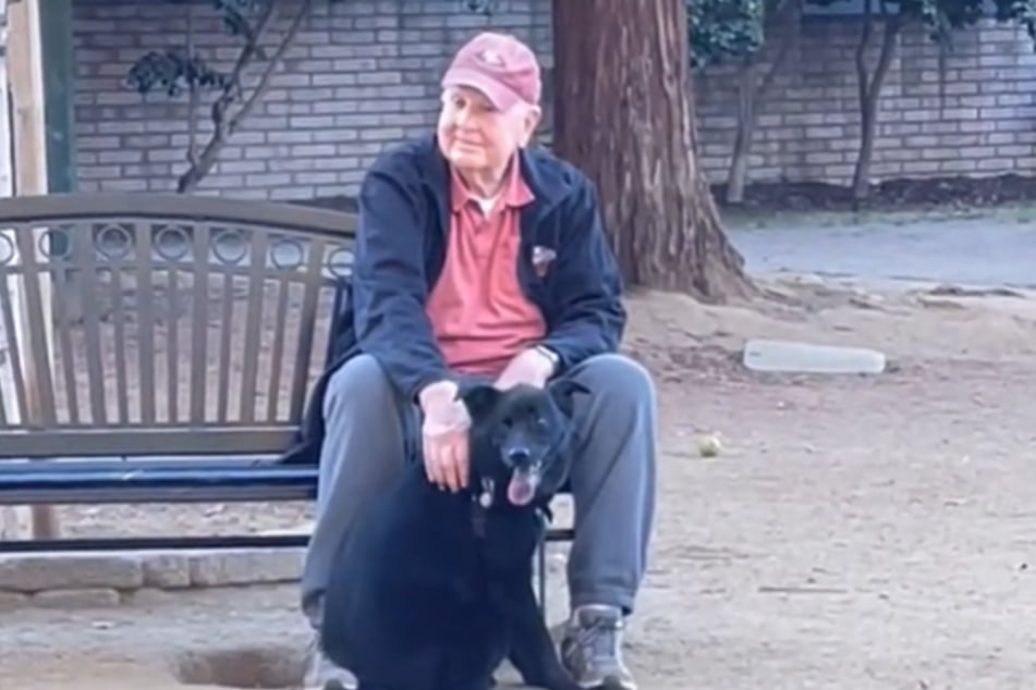 Besorgt sah sich Augusta nach ihrem Hund um – und fand ihn schließlich bei einem alten Herrn wieder.
