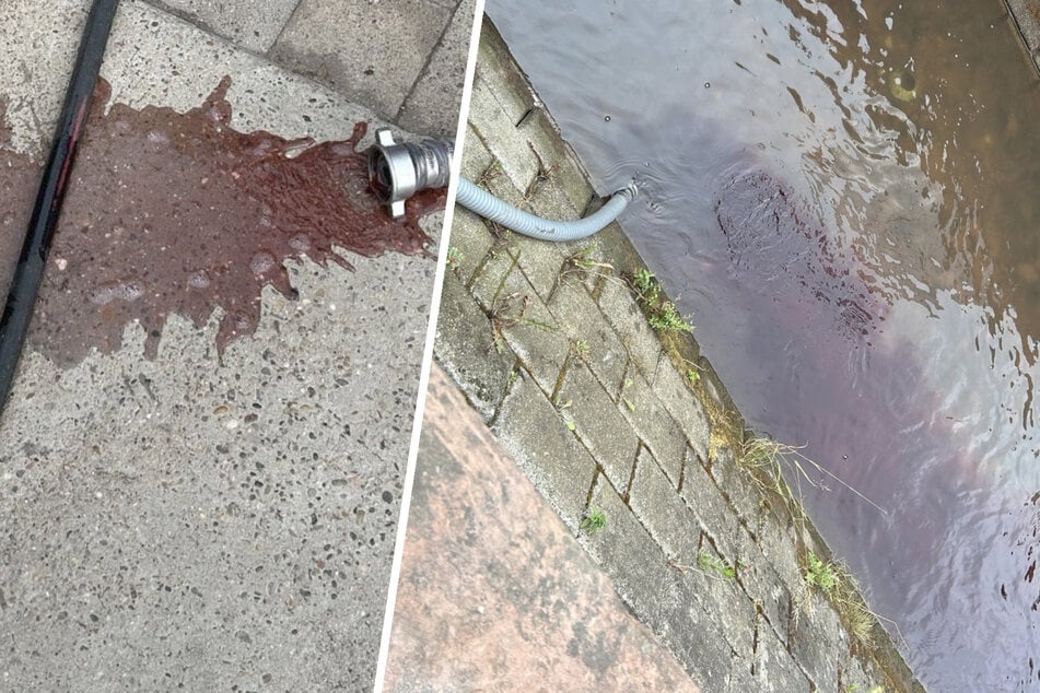 Rotes Wasser, tote Fische: Idyllischer Bach dreist verschmutzt
