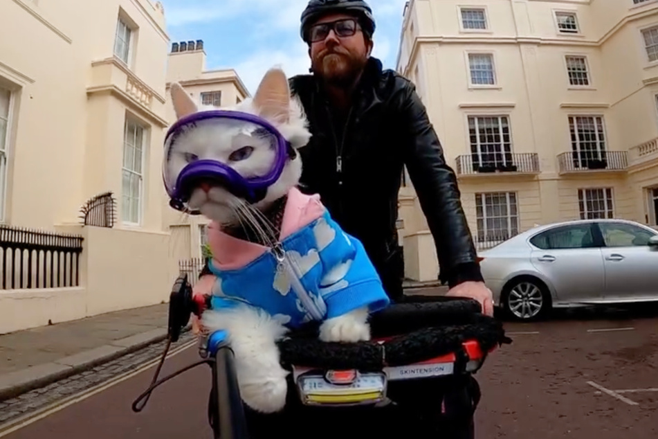 Travis Nelson and his cat, Sigrid, have become popular online for their viral cycling videos.