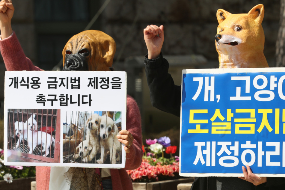 Die Tierschutzvereinigung "Korea Association for Animal Protection" möchte den Verzehr von Hunde- und Katzenfleisch in Südkorea verbieten lassen.
