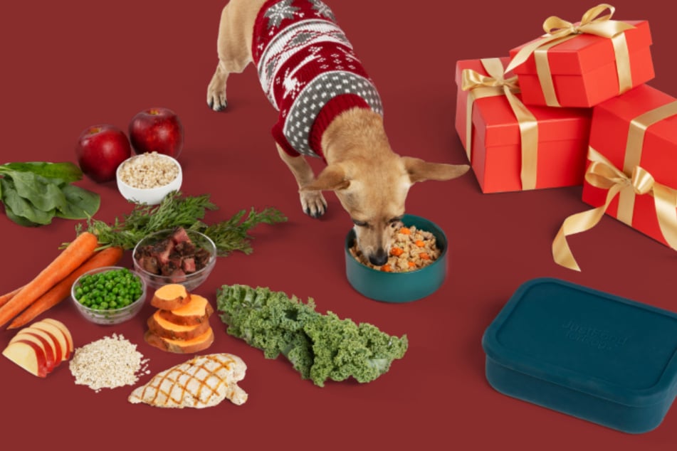 See the benefits of fresh pet food in as little as two weeks.