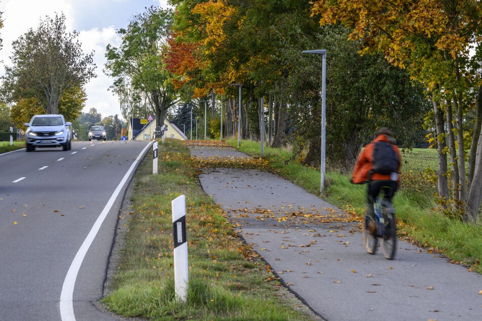Die Laternen an der Hofer Straße sind die einzigen in Chemnitz mit einer Radwegbeleuchtung.