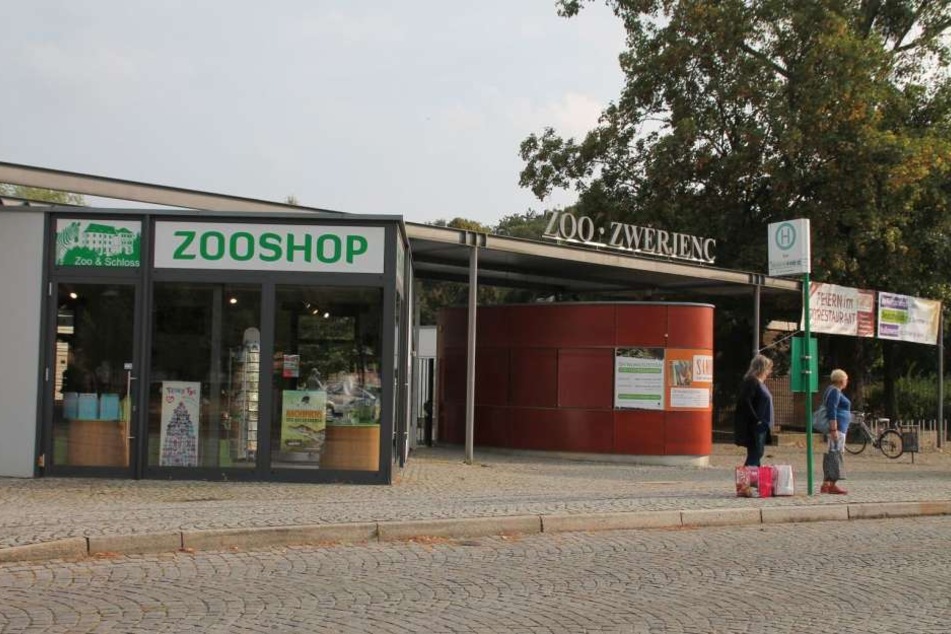 Der Zoo Hoyerswerda will bald süßen Leoparden-Nachwuchs präsentieren können.