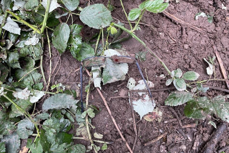 In einem Waldstück in Kürenz bei Trier machte die Fußgängerin die verstörende Entdeckung.