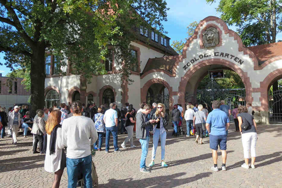 Etwa 100 Besucher warten vor dem Eingang.