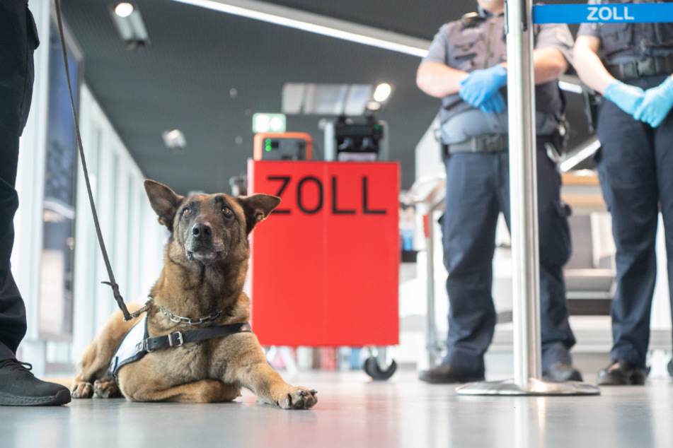 Sommerbilanz des Zolls am Flughafen Köln/Bonn: "Das wundert mich immer wieder"