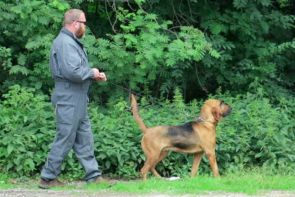 Spürhunde der Polizei waren ebenfalls im Einsatz.