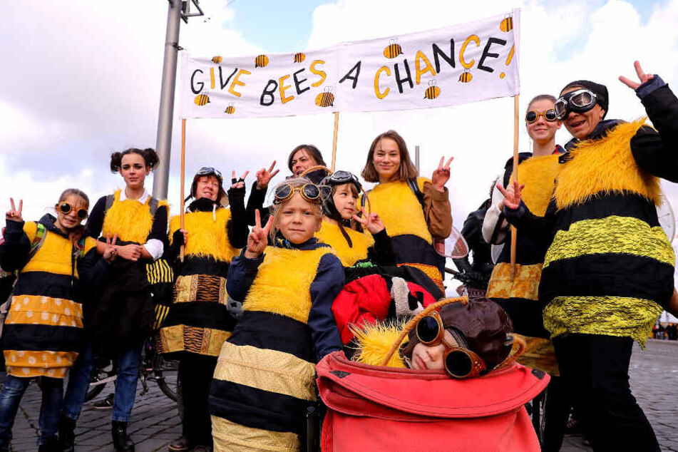 Gebt Bienen eine Chance: Das wünschen sich diese Bienen-Demonstranten augenscheinlich...