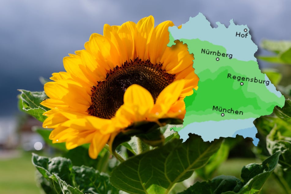 Sonntag bringt Sonne, Wolken, Wind und Regen
