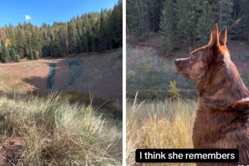 Did Roo recognize the place despite the different season?