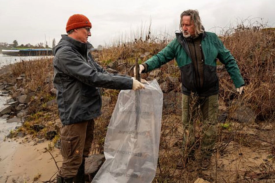 Zaměstnanci Rýnského rybářského svazu nasbírali na břehu Rýna řadu kadaverů k dalším vyšetřením.