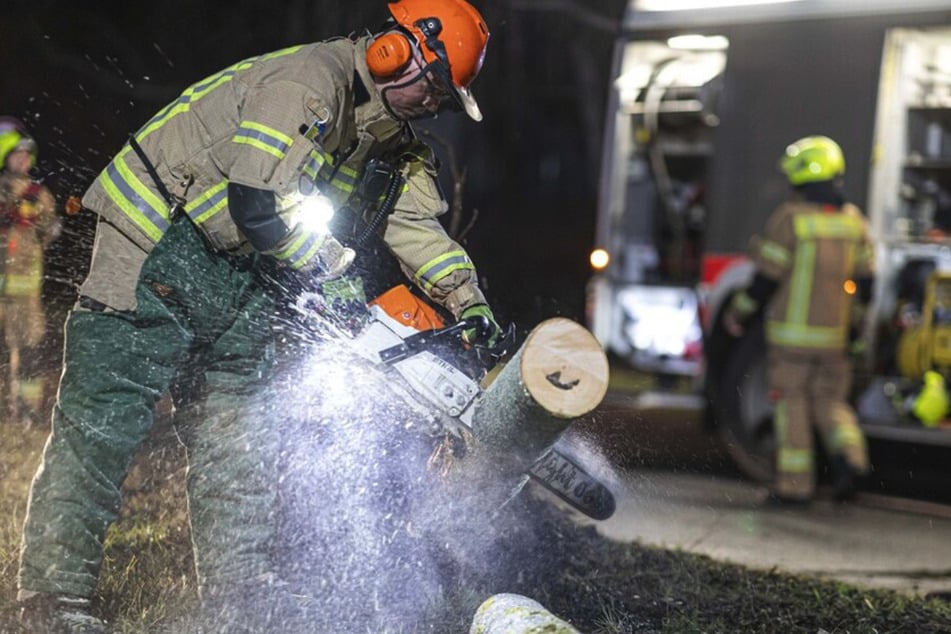 Berlin: Schwere Sturmschäden in Berlin: Feuerwehr muss mit mehr als Säge ran