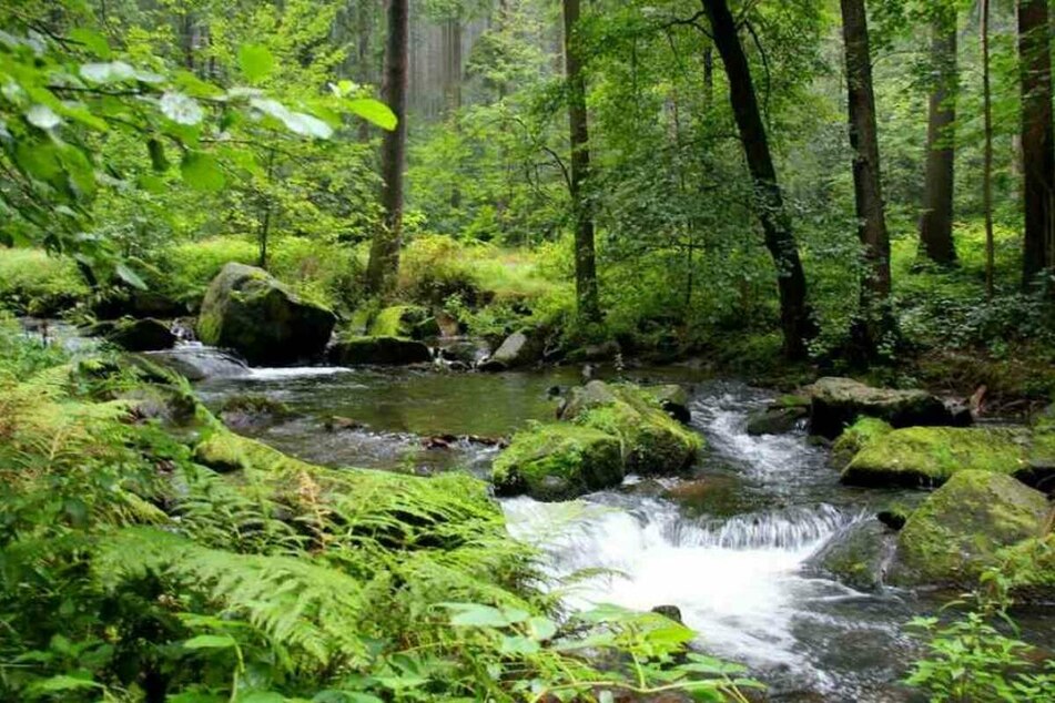 Warum immer mehr in diese deutsche Traumregion ziehen