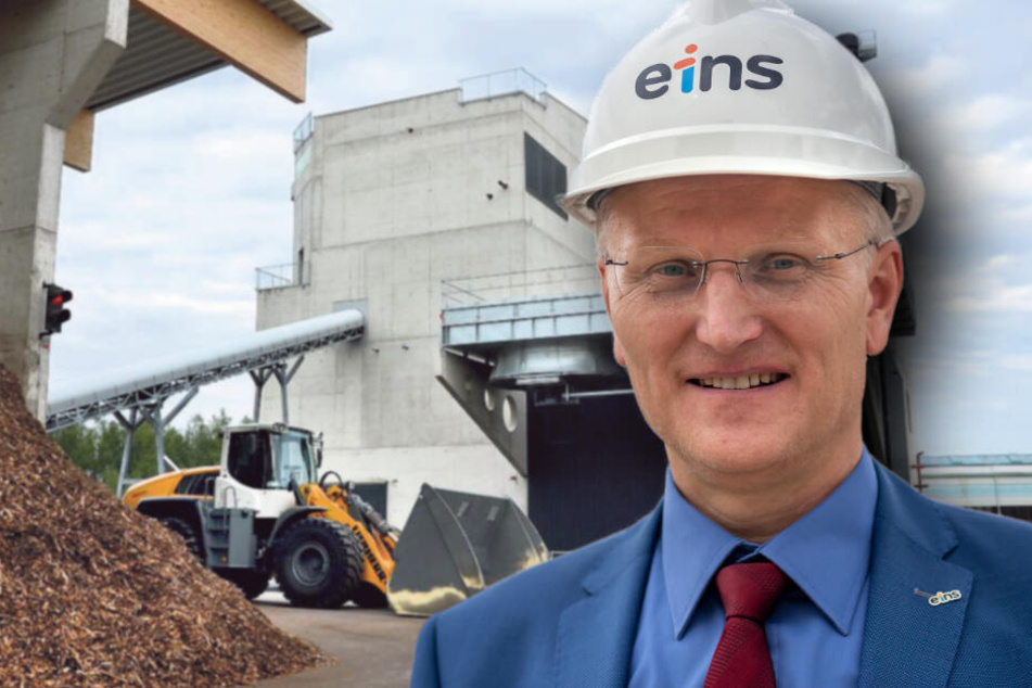 Eins Energie Sagt Stadtraten So Bauen Wir Das Holzkraftwerk 24