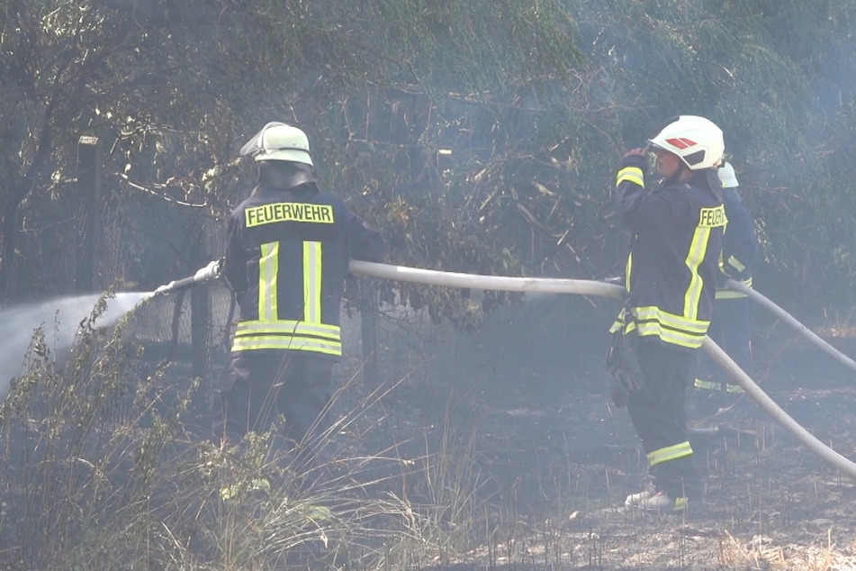 Feld steht in Flammen: Feuerwehr kann Großbrand verhindern