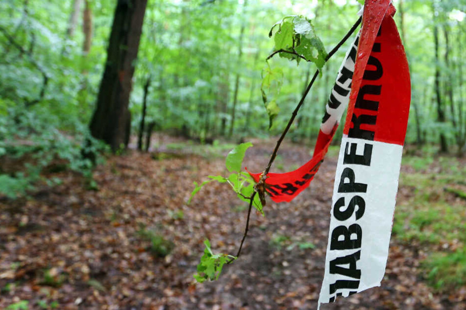 Der entführte Markus Würth wurde in einem Wald bei Würzburg gefunden.