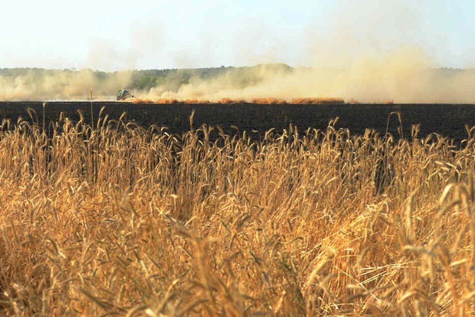 Plötzlich zog sich eine Feuerfront quer über das Feld.