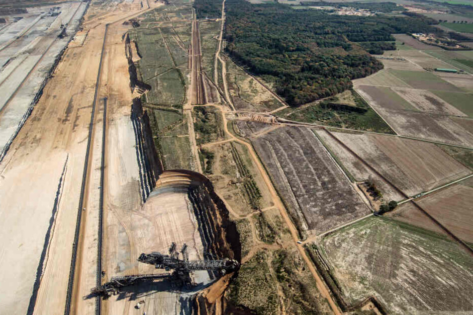 RWE will "angemessenen Abstand" zum Hambacher Forst halten