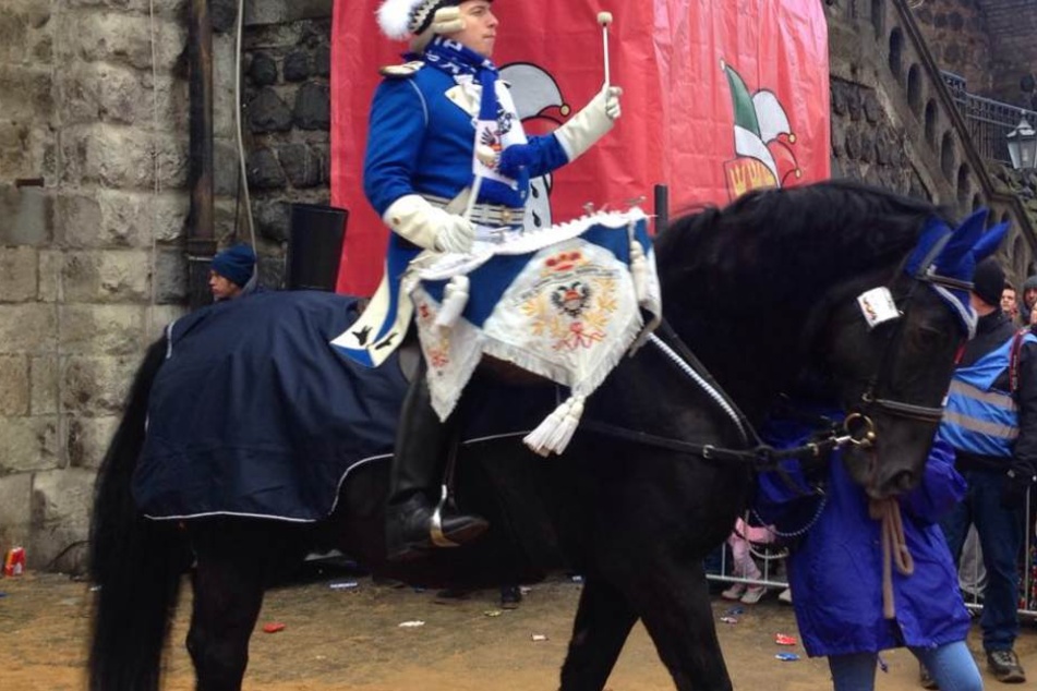 Pferd mit Reiter beim Kölner Rosenmontagsumzug.