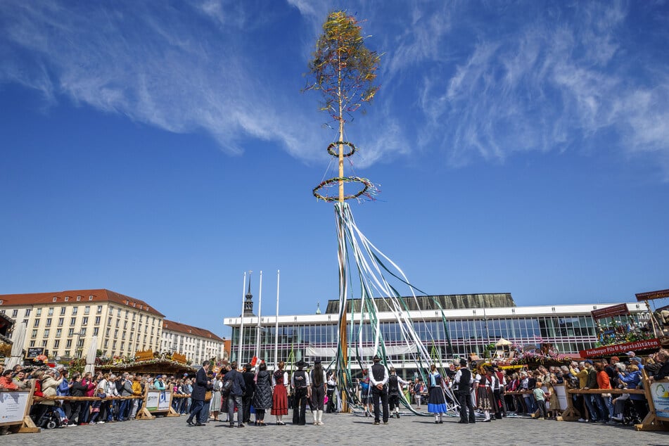 Die Zimmererinnung hievte den Maibaum hoch.