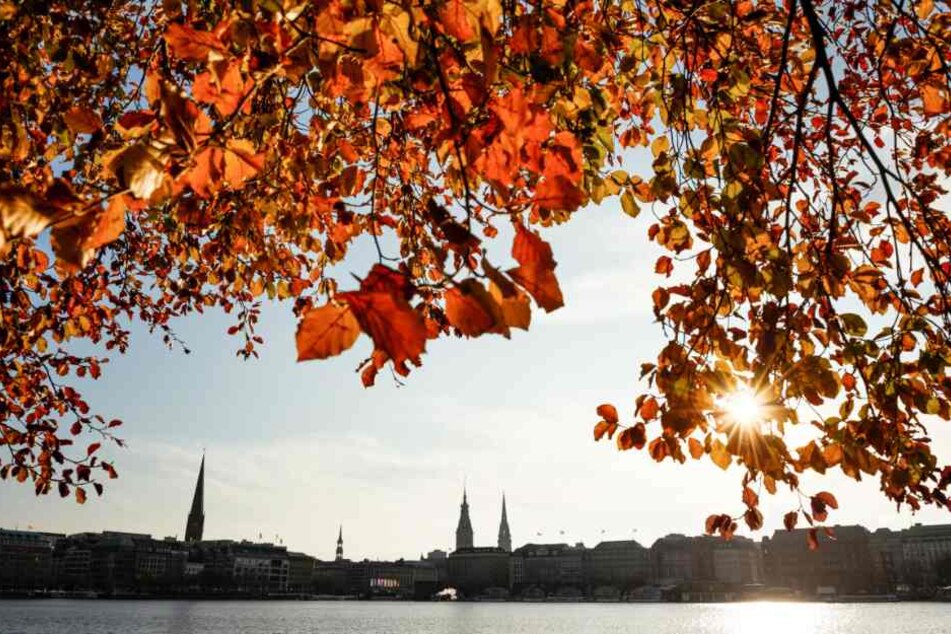 Die Sonne lässt sich am Wochenende öfter blicken.