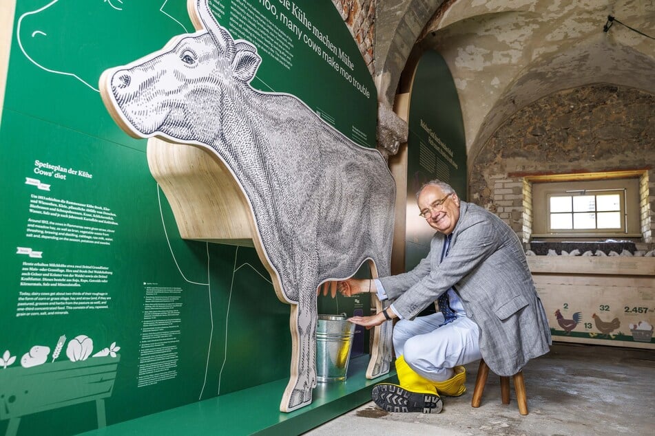 In Gummistiefeln und Anzug: Schlösserland-Chef Christian Striefler (63) versucht sich am Melken der Holzkuh.