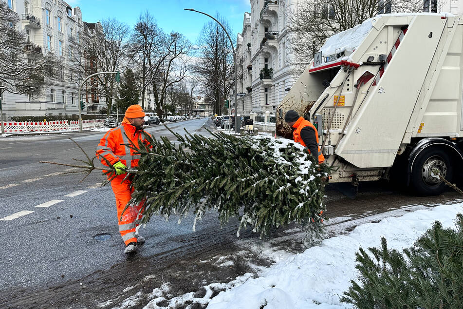 Guntur Vesuvius (l.) und sein Kollege Philipp Kark tragen einen Weihnachtsbaum in das Pressauto.
