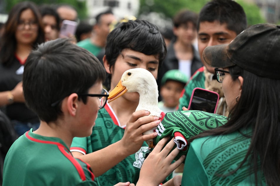 A Mexican fan carries Merlin the duck in Mexico City on June 18, 2026.