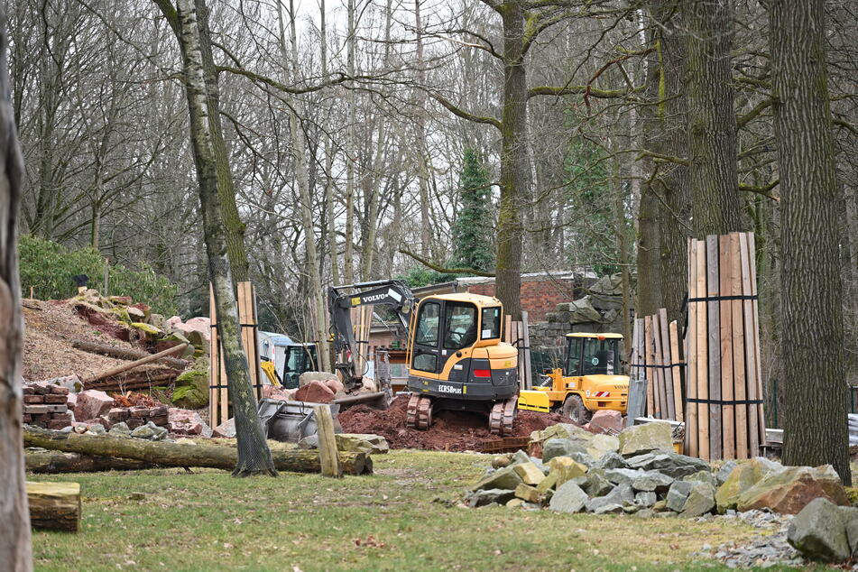 Bagger rollen im Tierpark derzeit nur im Auftrag des Fördervereins, der einen Spielplatz und neue Gehege bauen lässt.