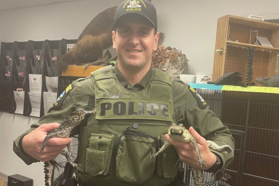Die Tiere wurden umgehend von den Polizisten beschlagnahmt.