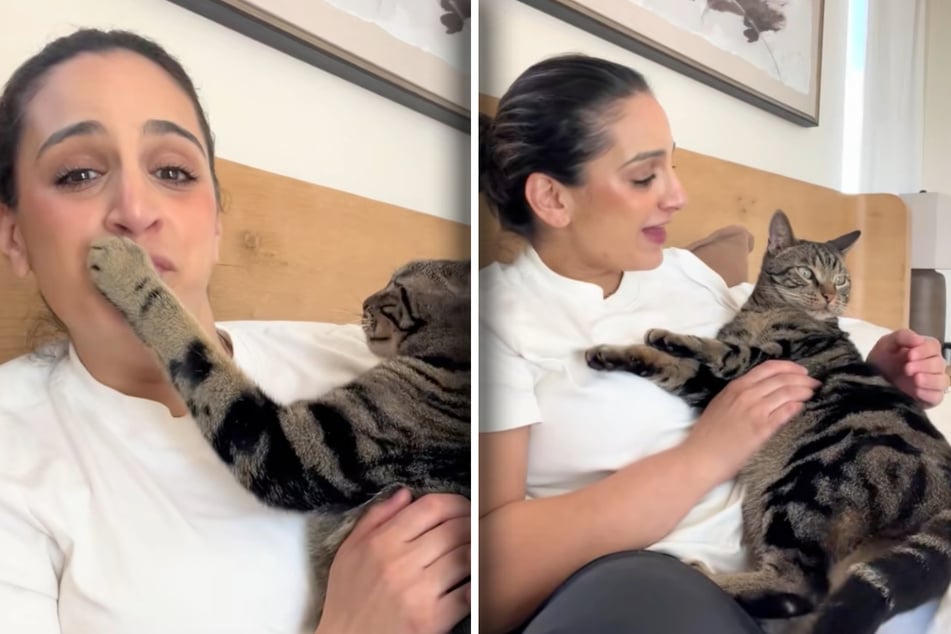 Frau ruft beim Kuscheln mit Kater ihre andere Katze: Seine Reaktion bringt so viele zum Lachen